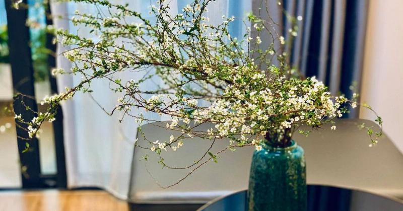 Chọn bình cắm hoa tuyết mai phù hợp với dáng cành và không gian trang trí